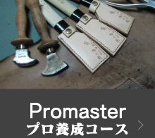 プロマスター(プロ養成コース)
