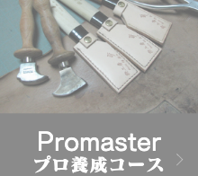 プロマスター(プロ養成コース)
